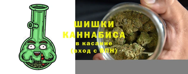 стафф Гусев