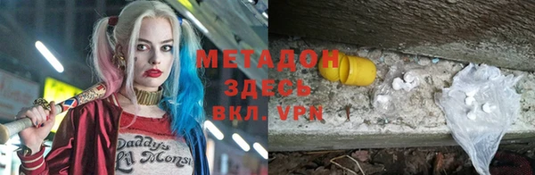 прущие грибы Алексеевка