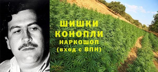 mdpv Алексин
